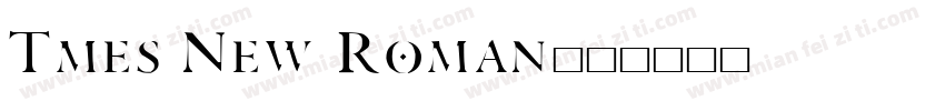 Tmes New Roman字体转换